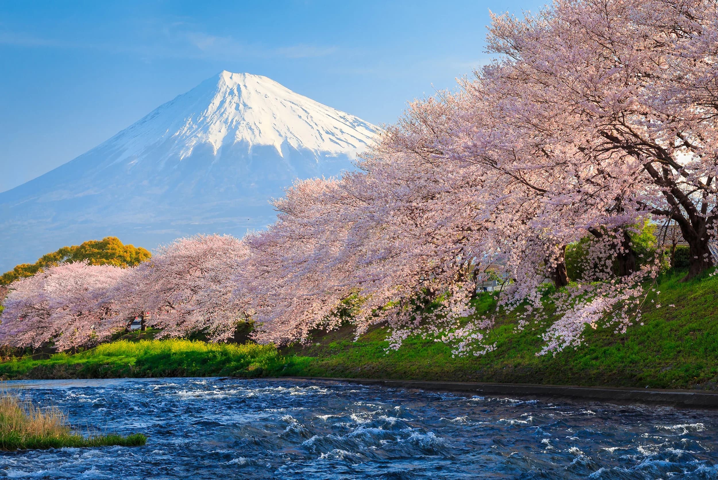 Tokyo, Japon - PlanTripNow